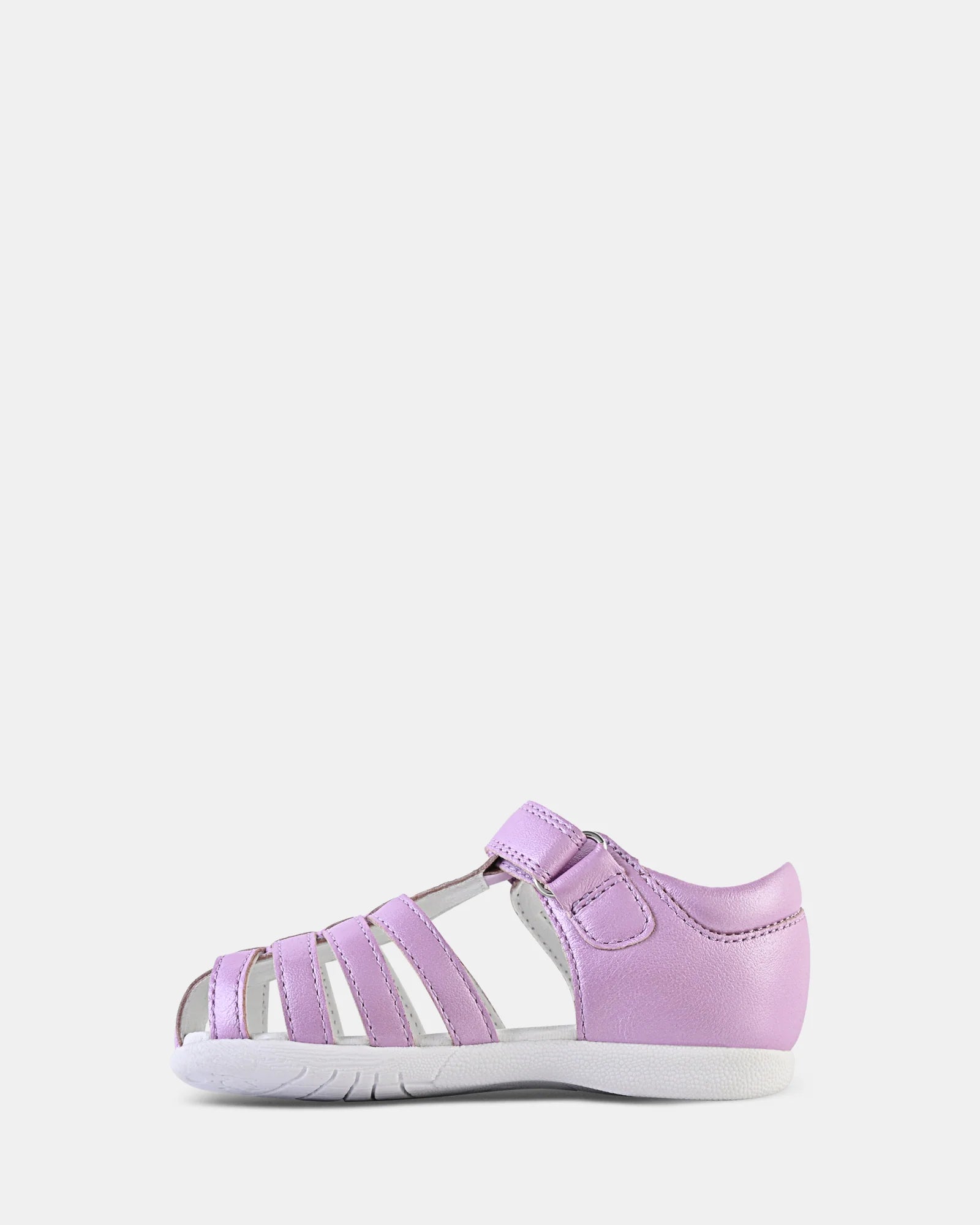 Clarks Shelly E - Violet