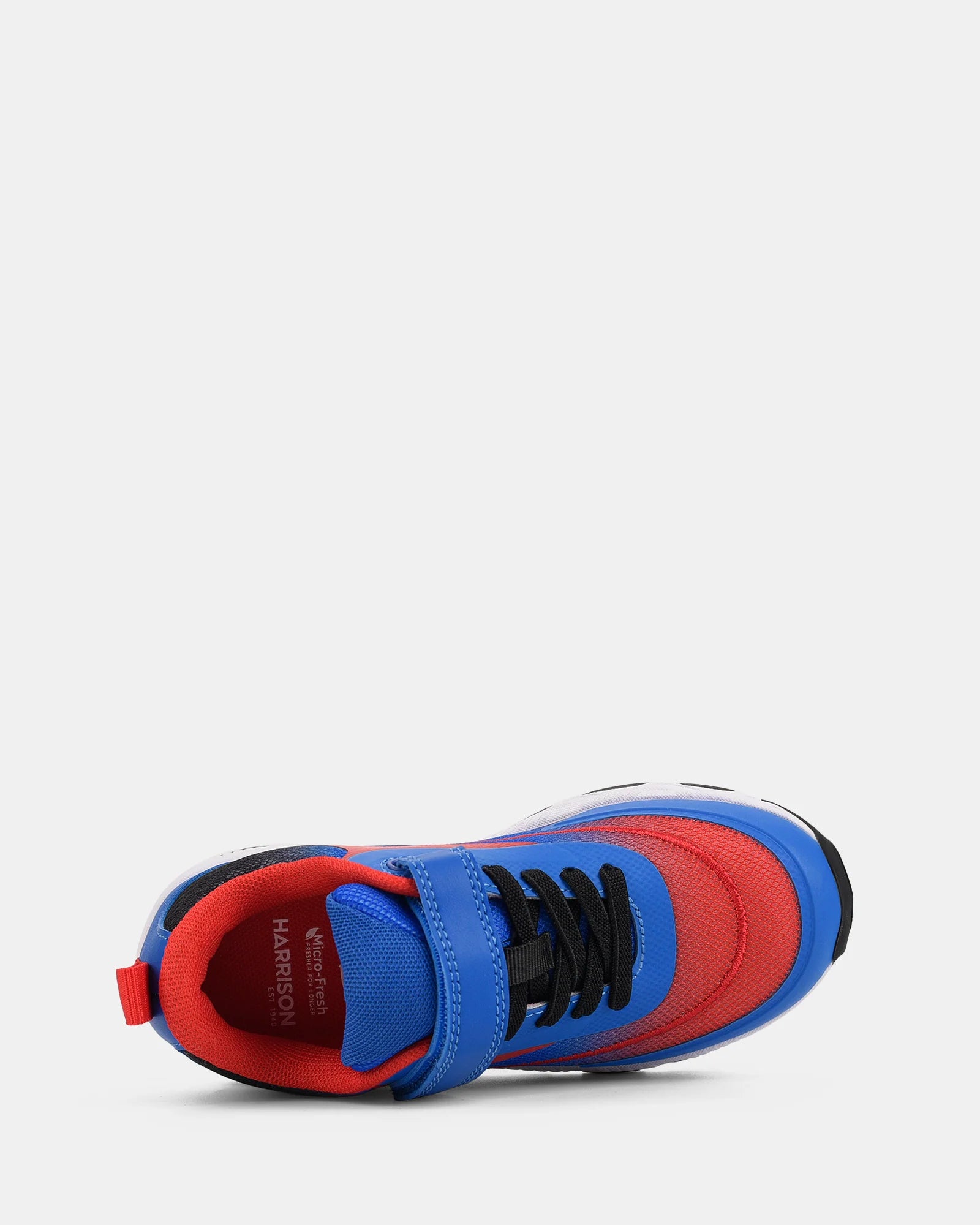 Harrison Nifty  - Blue/Red
