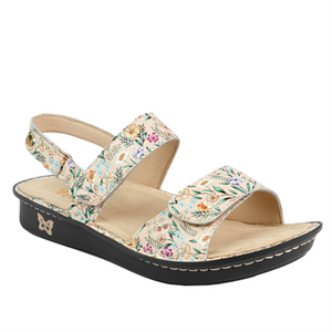 Alegria Verona - Summer Thyme
