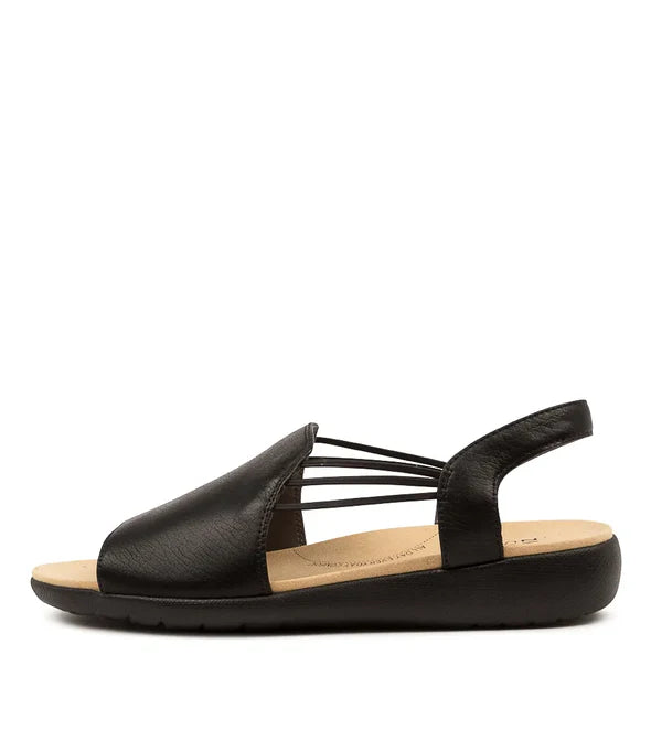 Ziera Udhays - Black Black