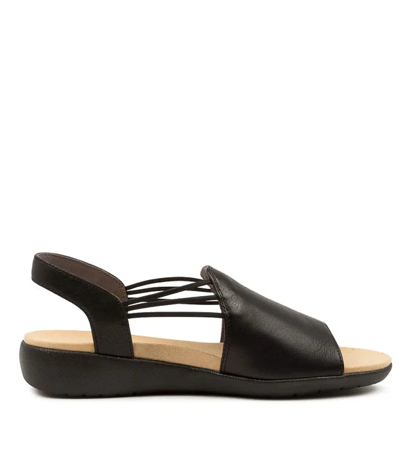 Ziera Udhays - Black Black