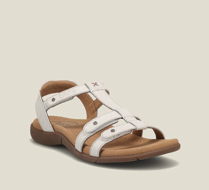 Taos Trophy 2 - Ice Embroidery