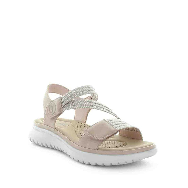 Wilde Sannah - Make Up